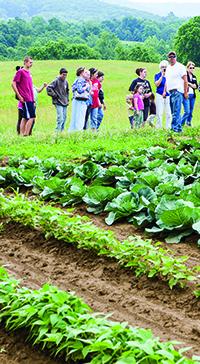 Students on a farm