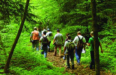 Students walking in a forest